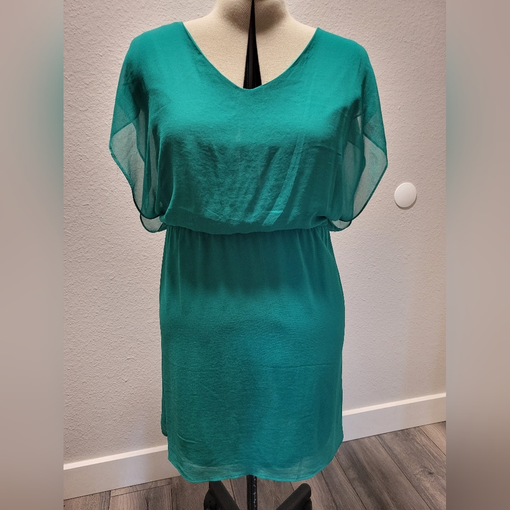 NWT Francesca's L Dress